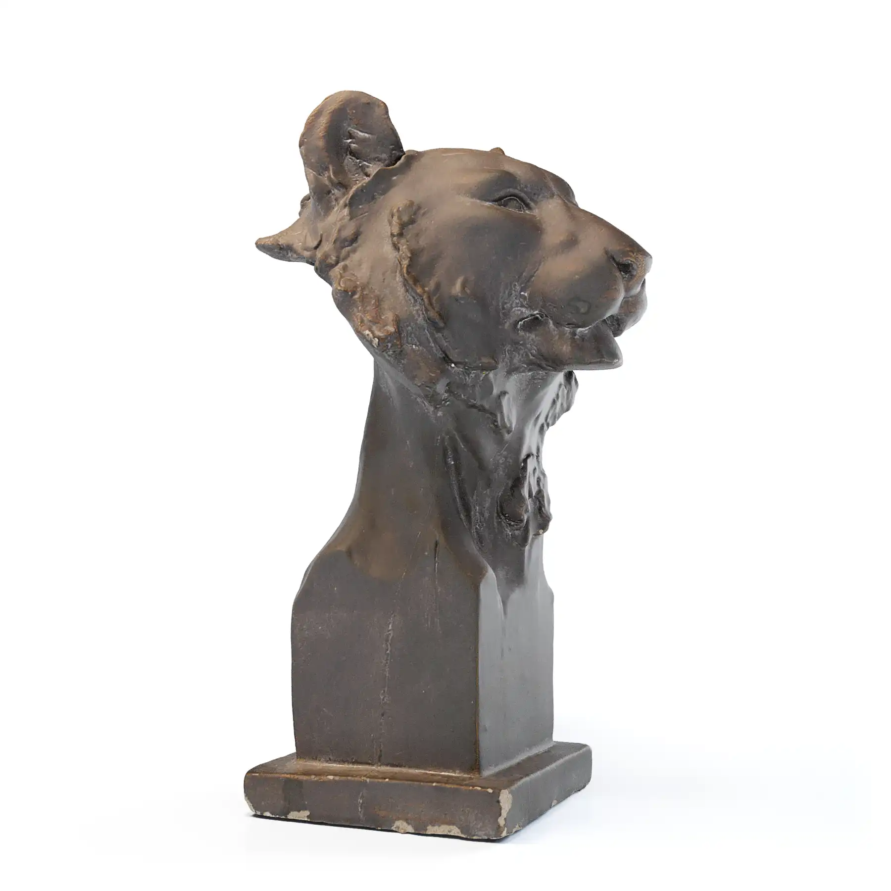 Lioness bust 3D model render on white background