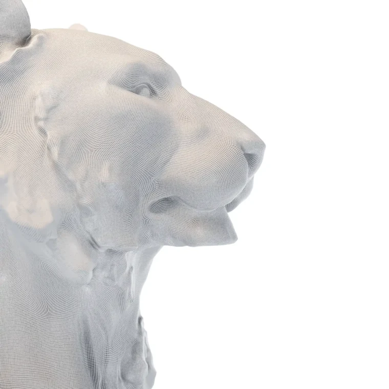 Lioness bust 3D wireframe